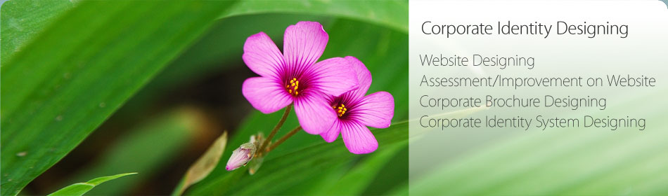 Corporate Identity Designing